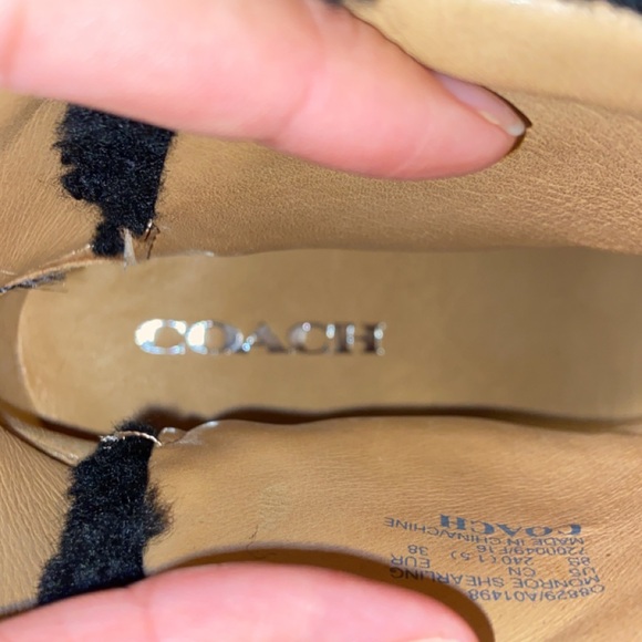 COACH Black Ankle Bootie - Picture 12 of 14